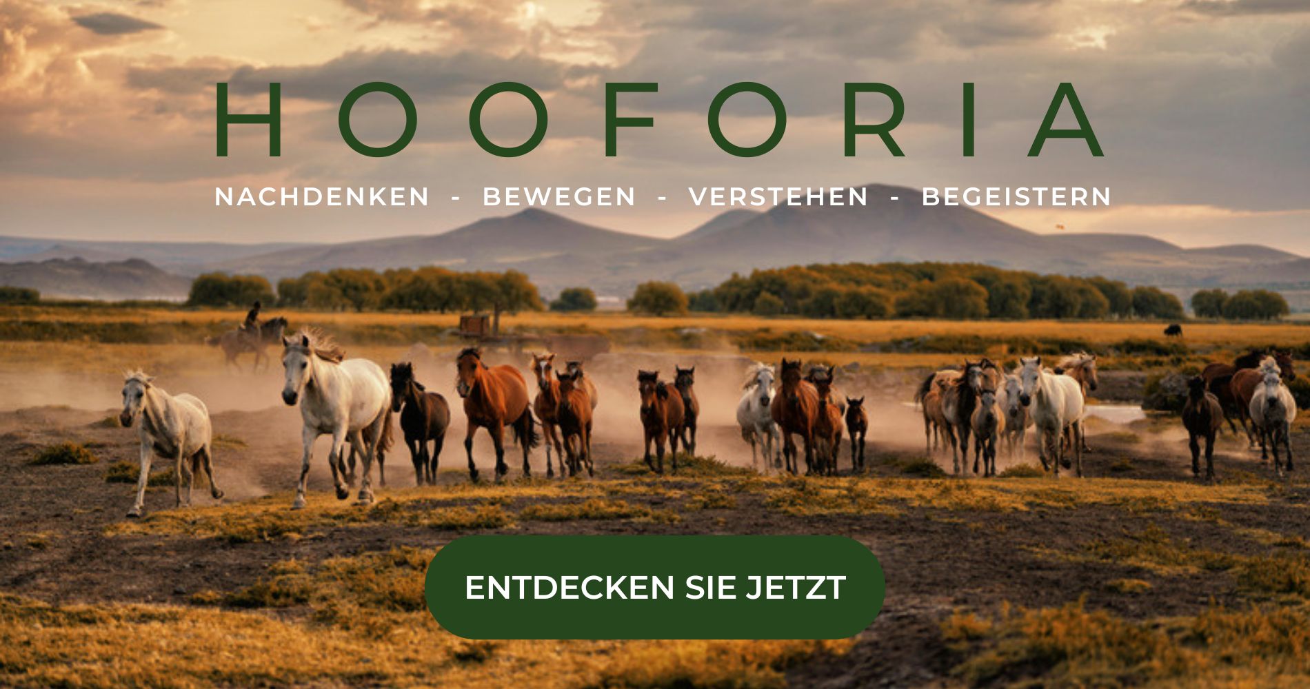 Banner Hooforia Desktop