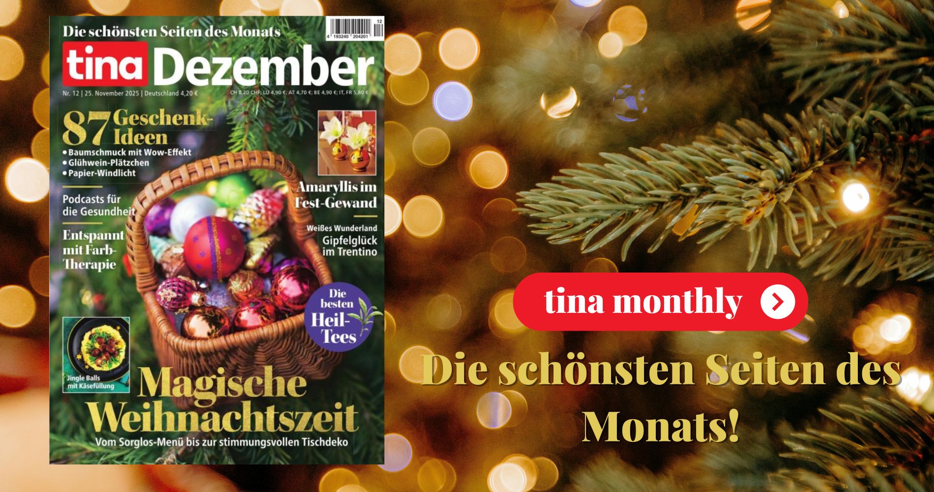 Werbebanner der Tina Monthly für die Ausgabe Dezember