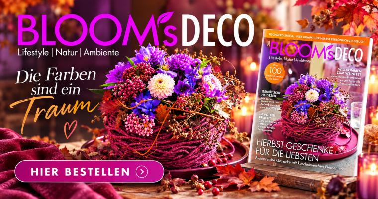 bloomsdecodesk