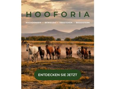Banner Hooforia mobile