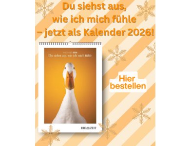 Ein farbenfrohes Banner mit dem Kalender DIE ZEIT Du siehst aus, wie ich mich fühle und orangefarbenem Kaufbutton.