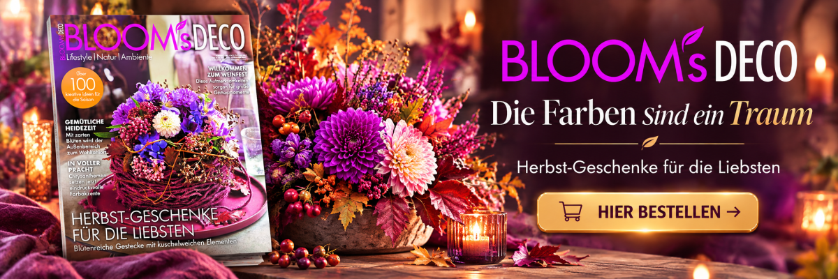 bloomsdecodesk