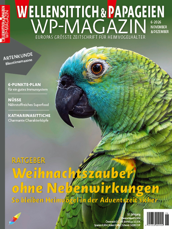 WP-Magazin 6/2026