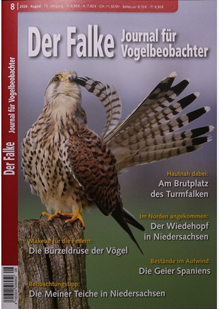 Der Falke 8/2026