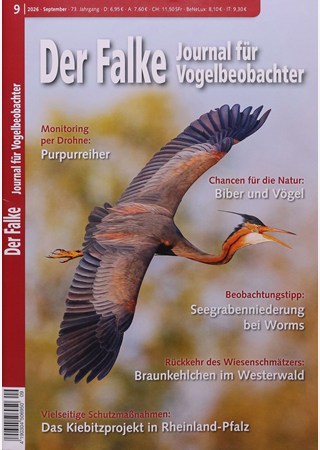 Der Falke 9/2026