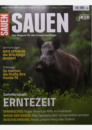 SAUEN 2/2026