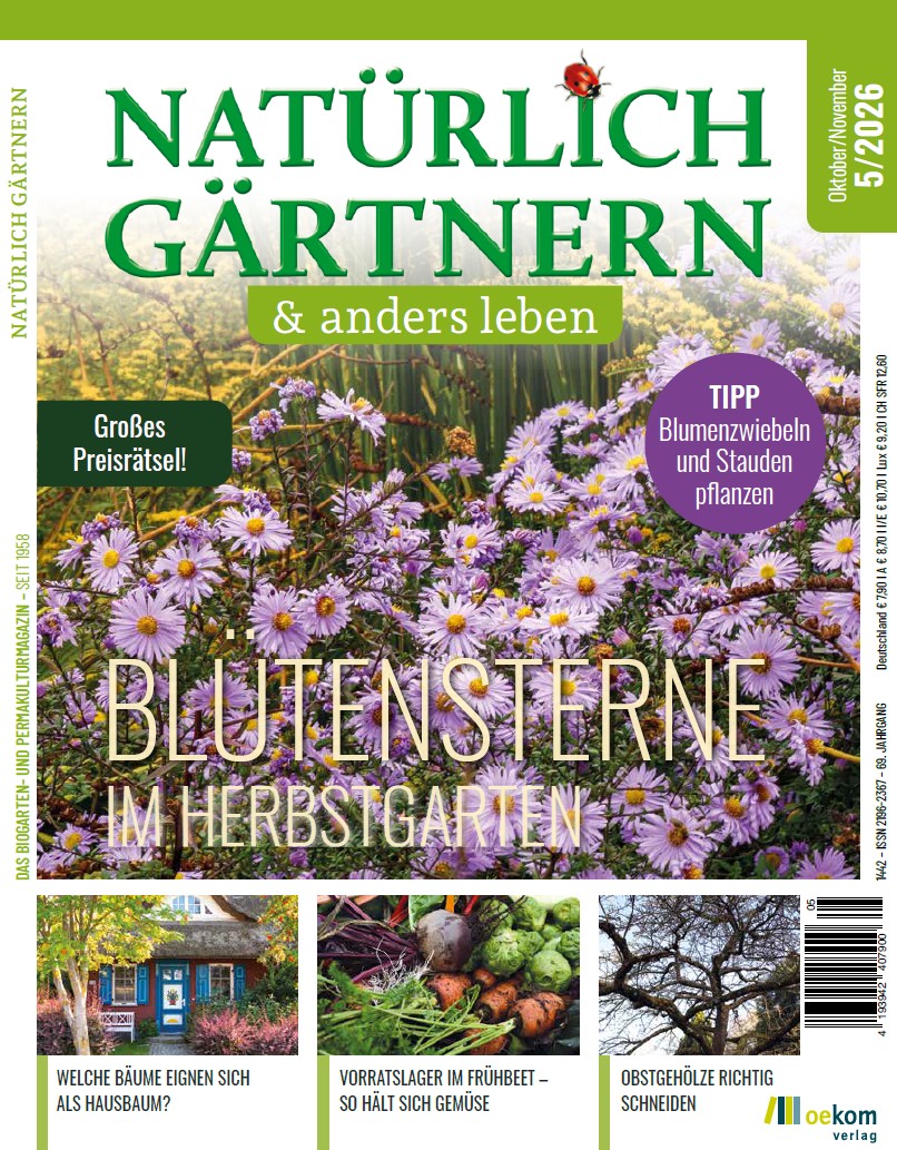 Zeitschrift