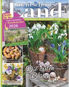 Mein schönes Land 1/2026
