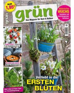 Grün 1/2026