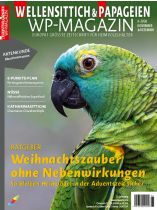 WP-Magazin 6/2026 "Sicher durch die Adventszeit"