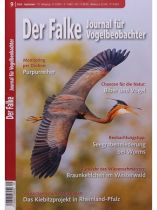 Der Falke 9/2026 "Monitoring per Drohnen: Purpurreiher"