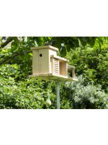 Bauplan selbst 9/2024