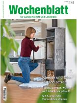 Wochenblatt 41/2026 "Kamine und Öfen instand setzen"
