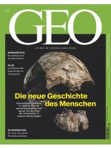 GEO 4/2026