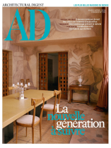 AD France 195/2026
