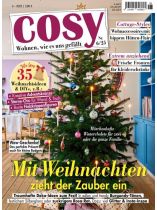 COSY 6/2025