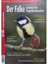 Der Falke 11/2023 "Journal für Vogelbeobachter"