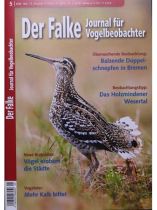 Der Falke 5/2026