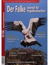 Der Falke 7/2026