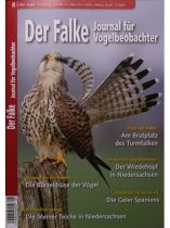 Der Falke 8/2026