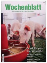 Wochenblatt 25/2026