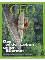 GEO Perspektive 9/2026 "Wälder als ursprüngliche Naturräume"