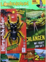 Löwenzahn - Das Magazin 6/2025 "Extra: Hirschkäfer"