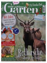 Mein kleiner schöner Gart 6/2025