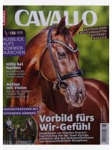 Cavallo 8/2026