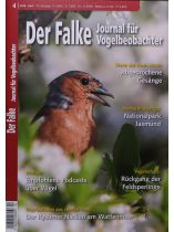 Der Falke 4/2026