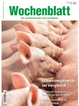 Wochenblatt 43/2025