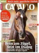 Cavallo 11/2025