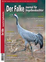 Der Falke 3/2026