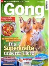 Gong 30/2026