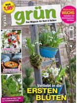 Grün 1/2026