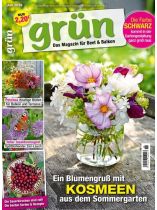 Grün 6/2026