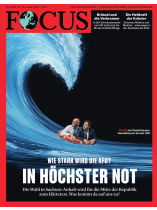 Focus 36/2026 "Wie stark wird die AfD?"