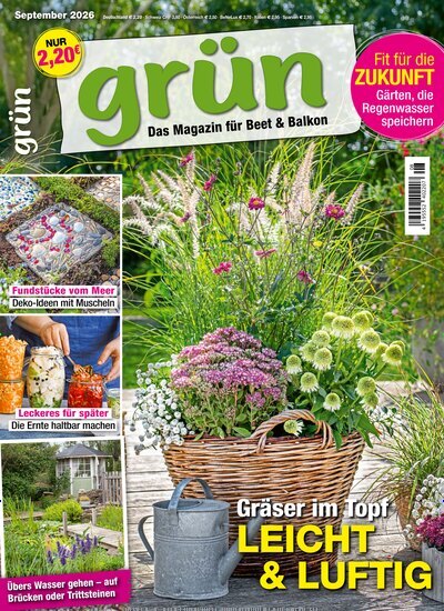 Gr&uuml;n 8/2026